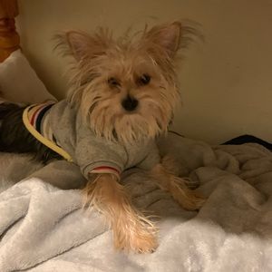 Meet your Posher, Maria